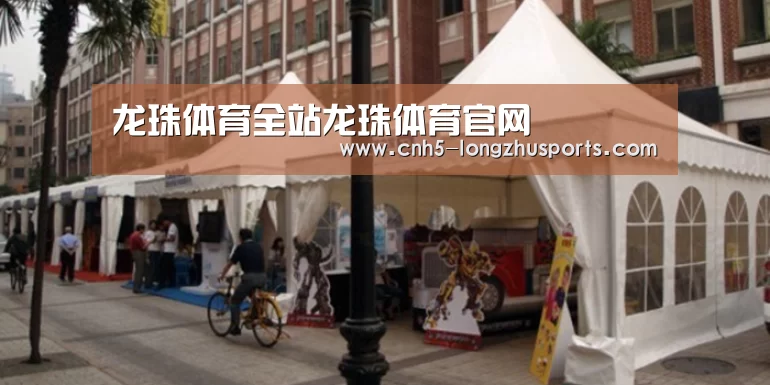 案例标题九