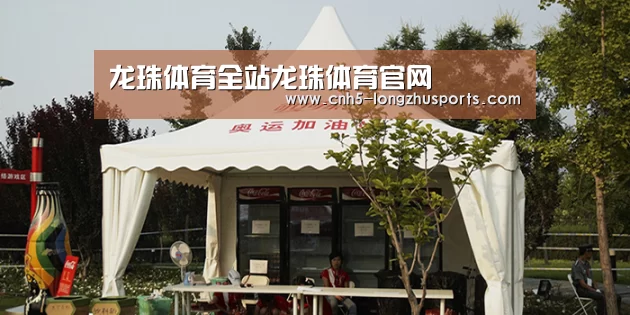 案例标题五