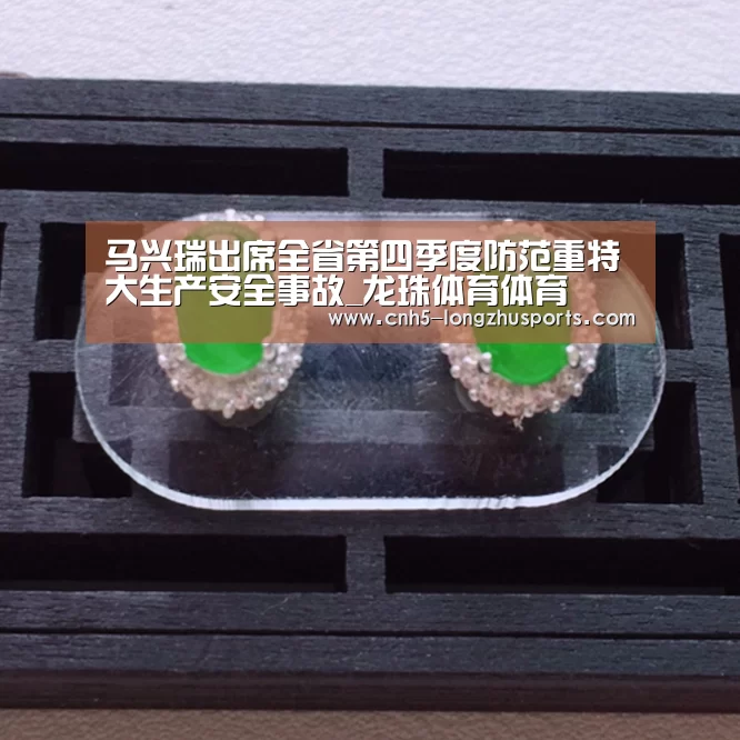 马兴瑞出席全省第四季度防范重特大生产安全事故_龙珠体育体育