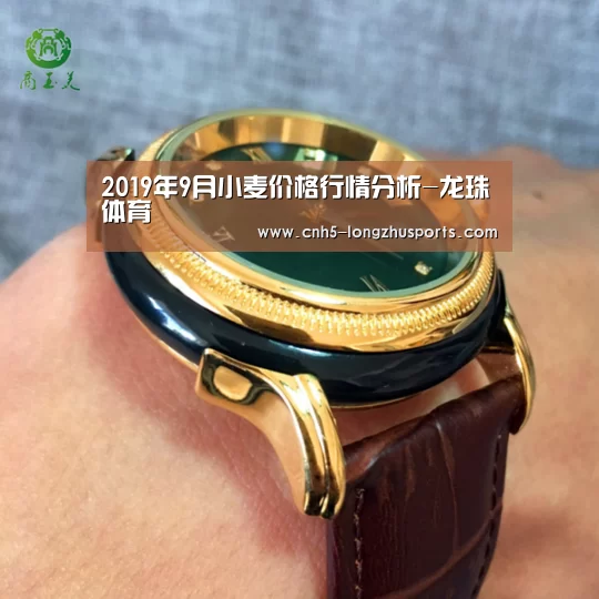 2019年9月小麦价格行情分析-龙珠体育