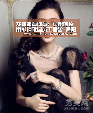 龙珠体育体育