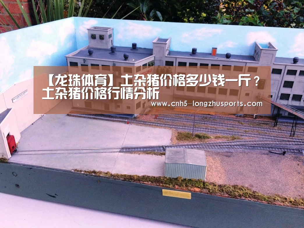 【龙珠体育】土杂猪价格多少钱一斤？土杂猪价格行情分析