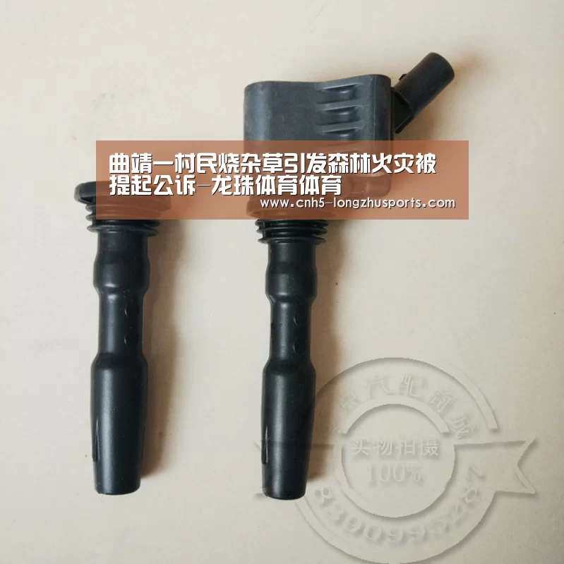 曲靖一村民烧杂草引发森林火灾被提起公诉-龙珠体育体育