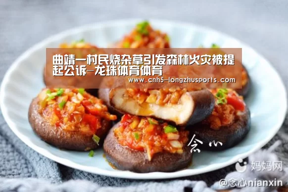 曲靖一村民烧杂草引发森林火灾被提起公诉-龙珠体育体育(图3) 龙珠体育