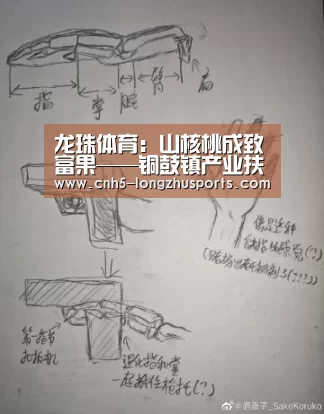 龙珠体育：山核桃成致富果——铜鼓镇产业扶贫探索纪实
