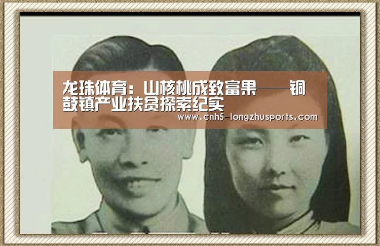 龙珠体育:山核桃成致富果——铜鼓镇产业扶贫探索纪实(图3) 龙珠体育体育