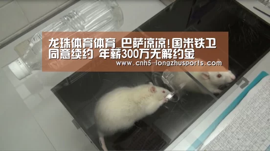 龙珠体育体育_巴萨凉凉!国米铁卫同意续约 年薪300万无解约金(图4) 龙珠体育体育