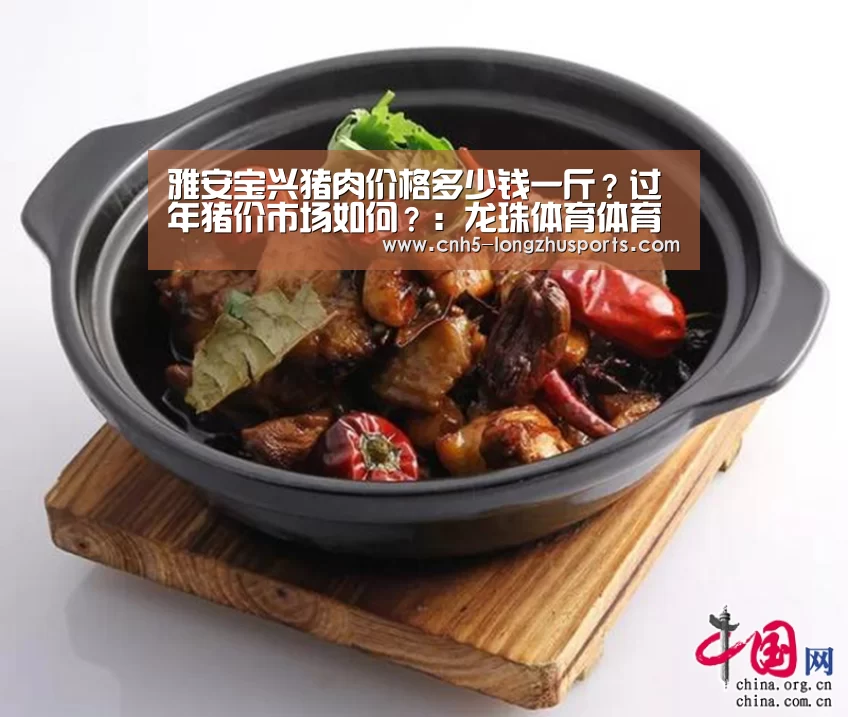 龙珠体育