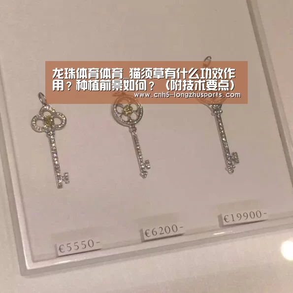 龙珠体育体育_猫须草有什么功效作用?种植前景如何?(附技术要点)(图3) 龙珠体育
