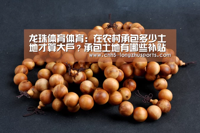 龙珠体育体育:在农村承包多少土地才算大户?承包土地有哪些补贴?(图2) 龙珠体育体育