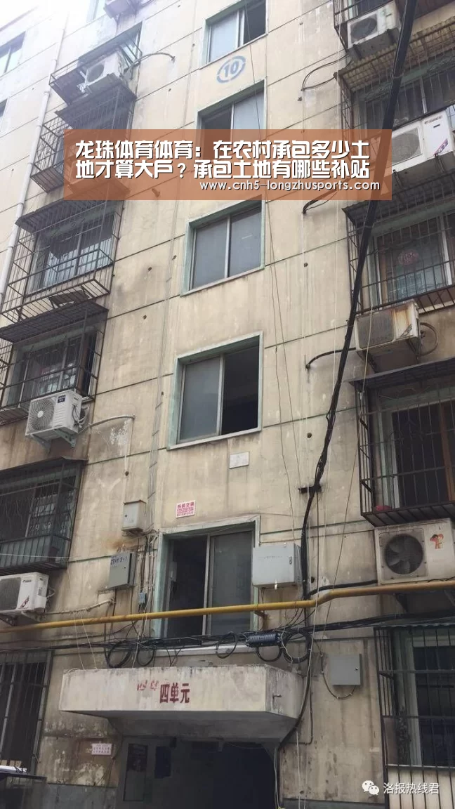 龙珠体育体育:在农村承包多少土地才算大户?承包土地有哪些补贴?(图3) 龙珠体育体育