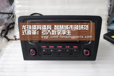 龙珠体育体育_智慧城市领域范式变革:引入数字孪生