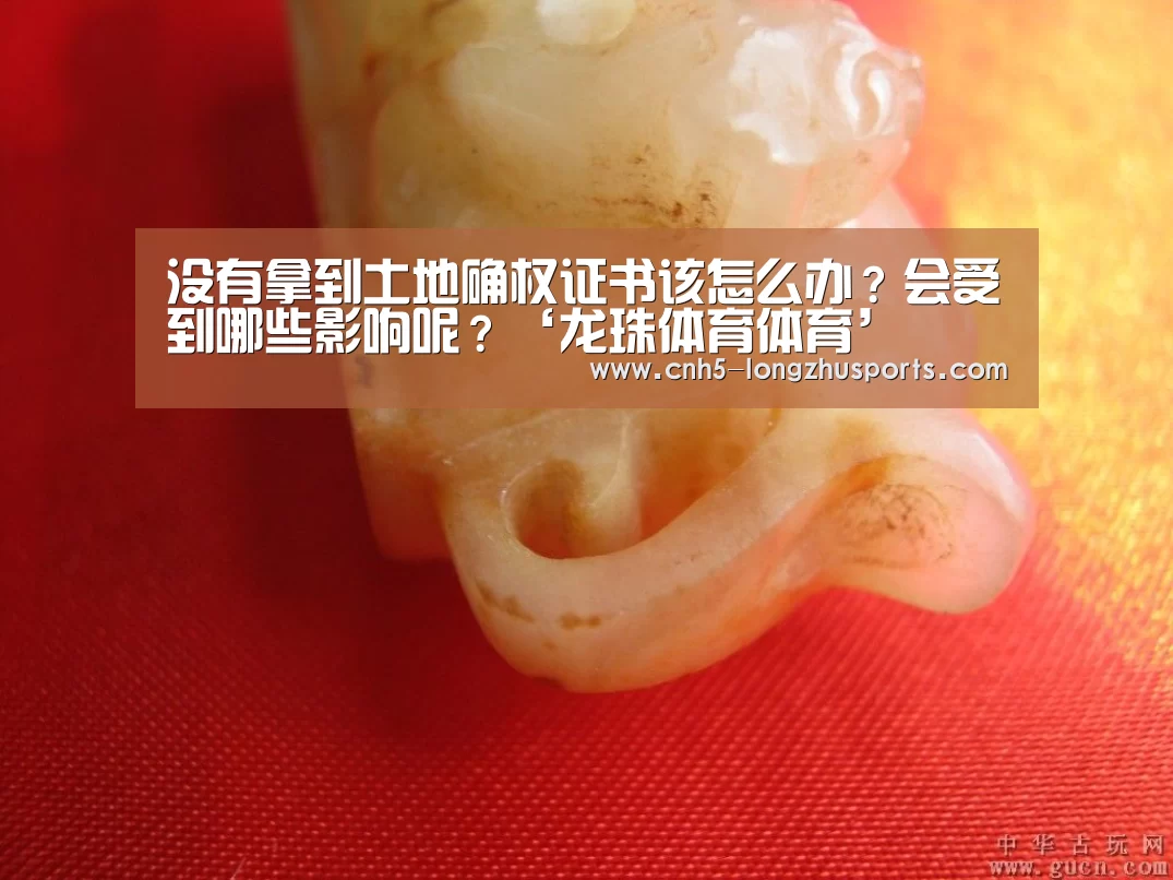 没有拿到土地确权证书该怎么办?会受到哪些影响呢?‘龙珠体育体育’(图3) 龙珠体育