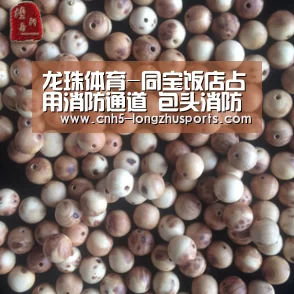 龙珠体育体育