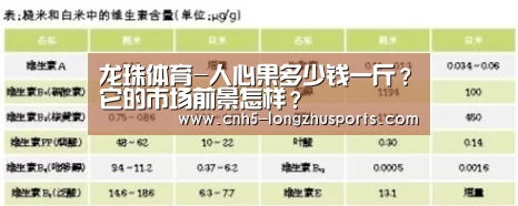 龙珠体育体育