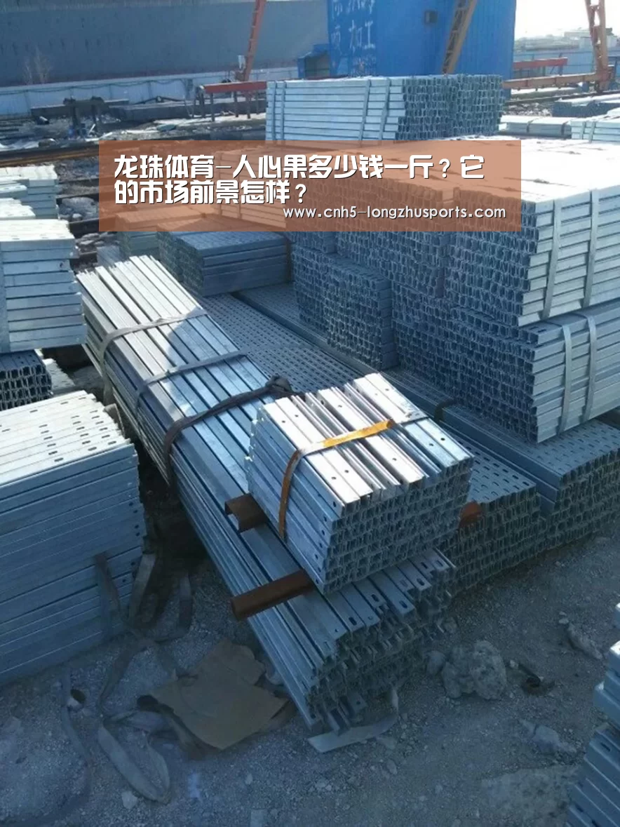 龙珠体育
